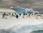 Antarktidada ishlash: bo'sh ish o'rinlari va maoshlar