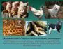 Kratak pregled Koji su sektori stočarstva razvijeni u Lenjingradskoj regiji